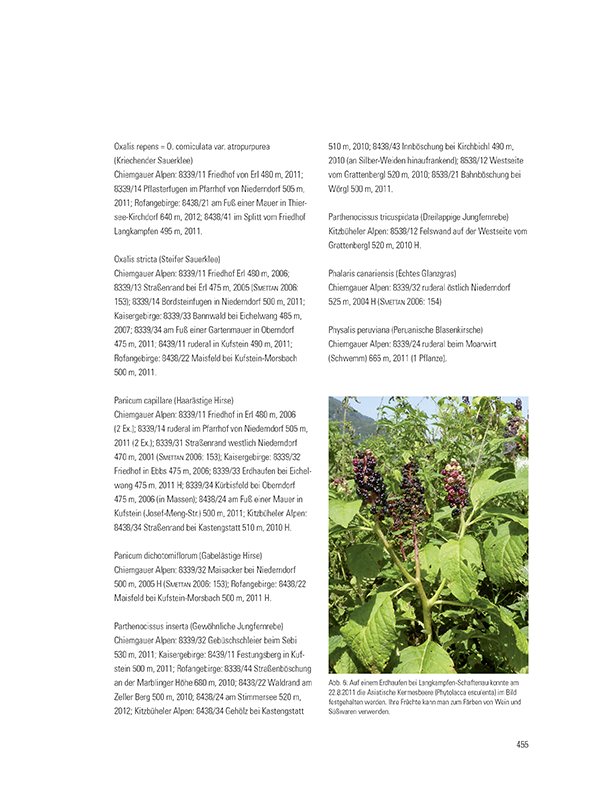 Satz Beispiel 6